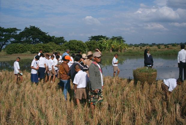 Thaïlande : Visite d’une rizière, lors d’une rencontre en 2004