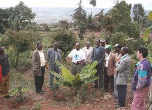 Subukia Kenya - The leaders of 'The evergreen revolution' project which involved 350 farmers 