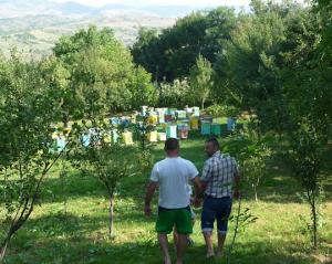 Aurel Nita, a bee-keeper in Posesti