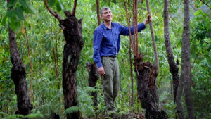 Tony Rinaudo standing among trees in East Timor