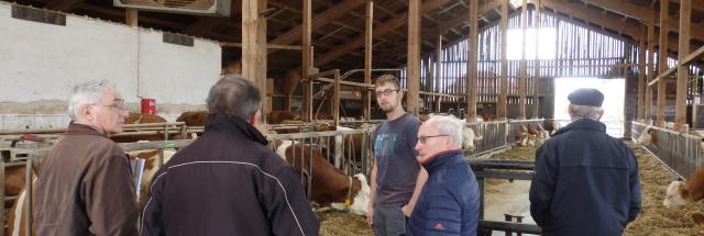 Stephan Wohlfrom, young farmer and Hans Wörle, our contact in Bayer, showing his cattle shed