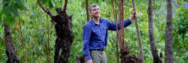 Tony Rinaudo standing among trees in East Timor